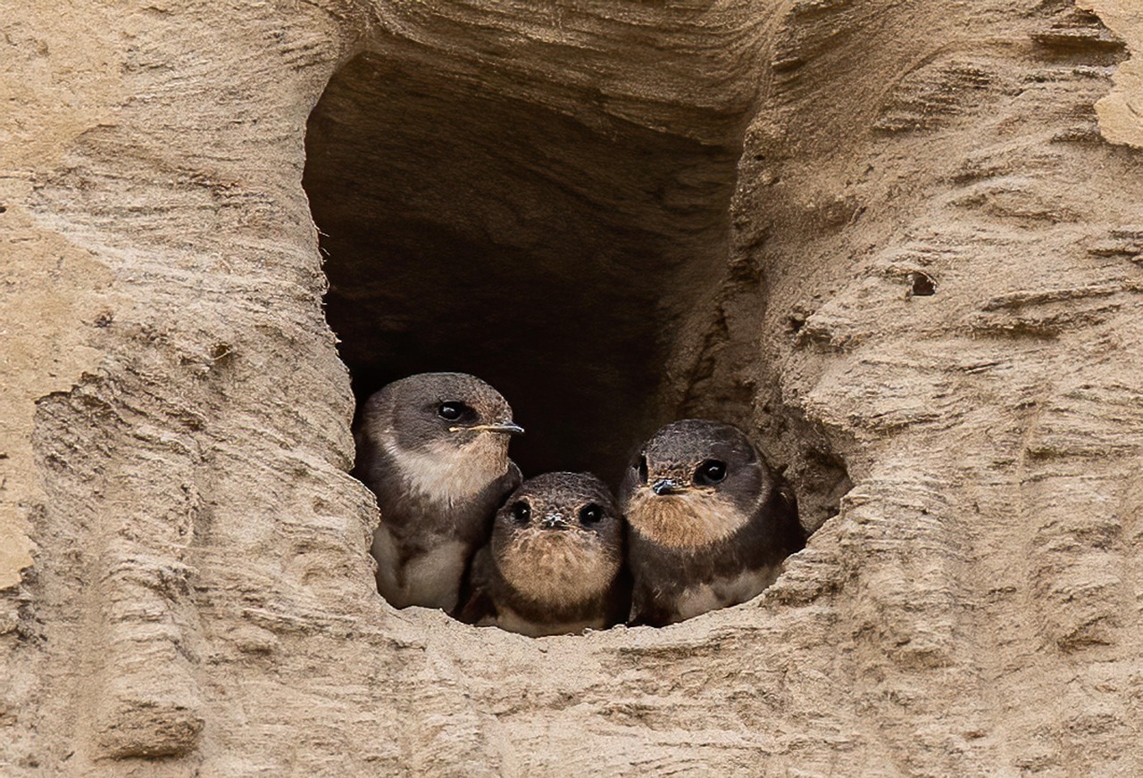 découvrez tout sur la martech : tendances, outils et stratégies pour optimiser votre marketing digital grâce à la technologie. améliorez vos performances marketing avec des solutions innovantes.